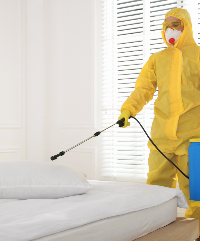 Professional Pest Control Team in Croydon Park